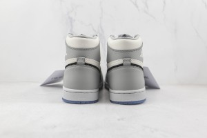 Dior Air Jordan 1 Shoes DAJIS100001
