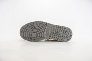 Dior Air Jordan 1 Shoes DAJIS1000010