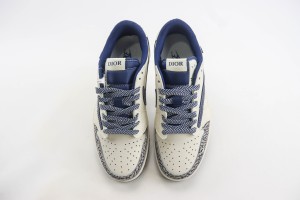 Dior Air Jordan 1 Shoes DAJIS1000013