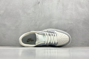 Dior Air Jordan 1 Shoes DAJIS100003