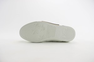 Dior Oblique Shoes DOBS100022