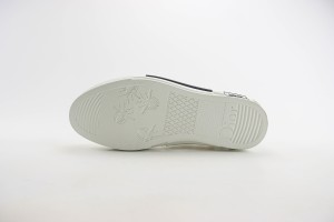 Dior Oblique Shoes DOBS100026