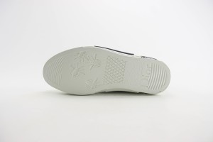 Dior Oblique Shoes DOBS100028