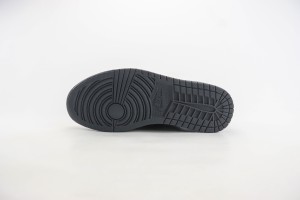 Air Jordan 1 Low Back AJLB1000239