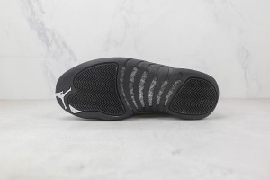 Air Jordan 12 AJ120009