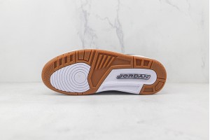 Air Jordan 3 AJ3000116