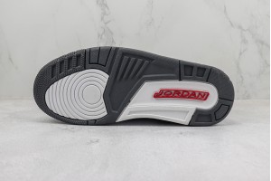 Air Jordan 3 AJ300039