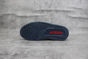 Air Jordan 312 AJ31200041