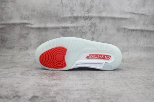 Air Jordan 312 AJ31200058