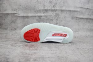 Air Jordan 312 AJ31200062