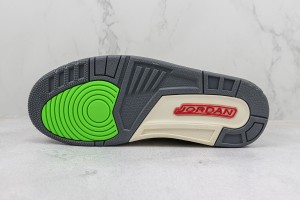 Air Jordan 312 AJ31200091