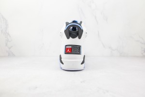 Air Jordan 6 AJ600036