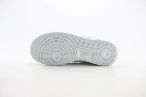  Nike Air Force 1 low back AFLB1000169