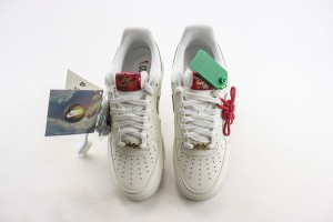 Nike Air Force 1 low back AFLB1000450