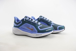  NikeK Air Zoom Pegasus 41 NAZP100011