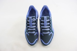  NikeK Air Zoom Pegasus 41 NAZP100011