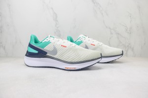 NikeK Air Zoom Pegasus 41 NAZP1000117