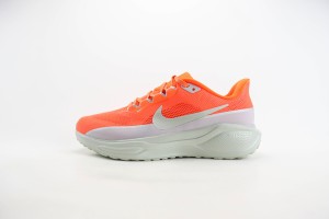 NikeK Air Zoom Pegasus 41 NAZP100013