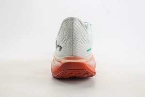 NikeK Air Zoom Pegasus 41 NAZP100019