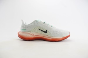 NikeK Air Zoom Pegasus 41 NAZP100019