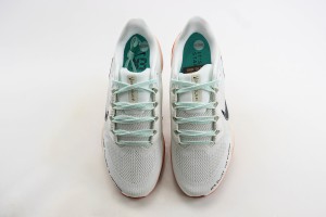 NikeK Air Zoom Pegasus 41 NAZP100019