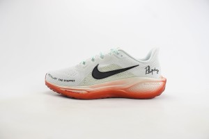 NikeK Air Zoom Pegasus 41 NAZP100019