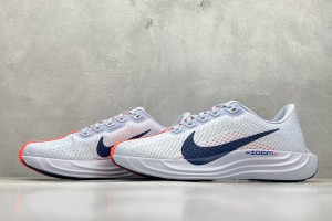  NikeK Air Zoom Pegasus 41 NAZP10002