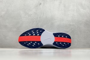  NikeK Air Zoom Pegasus 41 NAZP10002