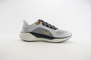 NikeK Air Zoom Pegasus 41 NAZP100023