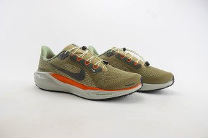 NikeK Air Zoom Pegasus 41 NAZP100025