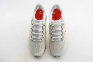NikeK Air Zoom Pegasus 41 NAZP100037