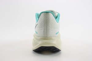  NikeK Air Zoom Pegasus 41 NAZP100038
