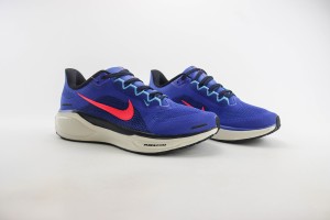 NikeK Air Zoom Pegasus 41 NAZP100046