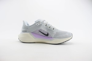 NikeK Air Zoom Pegasus 41 NAZP100055