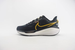  NikeK Air Zoom Pegasus 41 NAZP100056