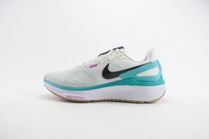 NikeK Air Zoom Pegasus 41 NAZP100062