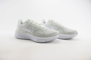  NikeK Air Zoom Pegasus 41 NAZP100063