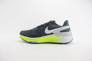 NikeK Air Zoom Pegasus 41 NAZP100064