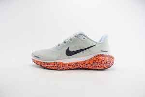  NikeK Air Zoom Pegasus 41 NAZP100068