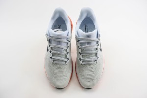  NikeK Air Zoom Pegasus 41 NAZP100068