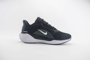  NikeK Air Zoom Pegasus 41 NAZP100075
