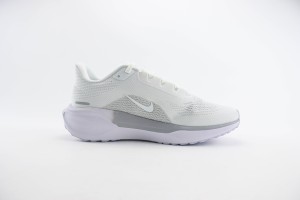 NikeK Air Zoom Pegasus 41 NAZP100076
