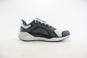 NikeK Air Zoom Pegasus 41 NAZP10009