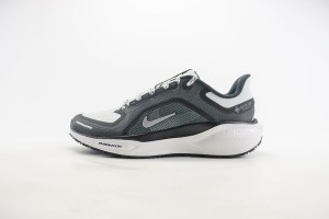 NikeK Air Zoom Pegasus 41 NAZP10009