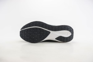 NikeK Air Zoom Pegasus 41 NAZP10009