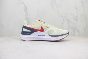  NikeK Air Zoom Pegasus 41 NAZP100098