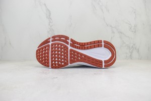  NikeK Air Zoom Pegasus 41 NAZP100098