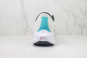 NikeK Air Zoom Pegasus 41 NAZP100099