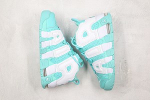 Nike Air Uptempo NAU100092