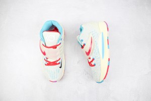 Nike Zoom KD NZKD00027